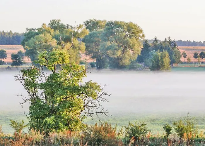 Haus Wald & Wiese Holiday home Wandlitz